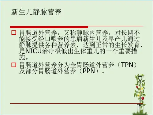 新生儿静脉营养  补液  