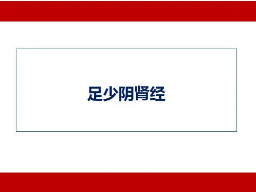 足少阴肾经
