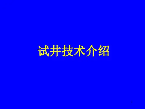 试井技术介绍 PPT课件