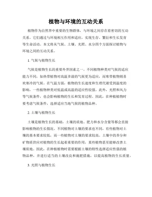 植物与环境的互动关系