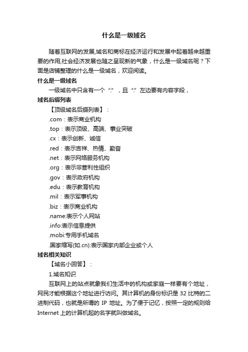 什么是一级域名