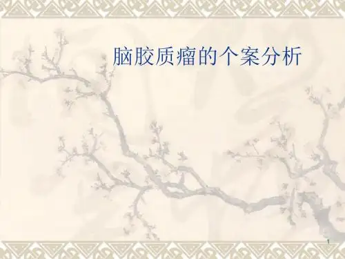 颅脑损伤的个案分析ppt课件