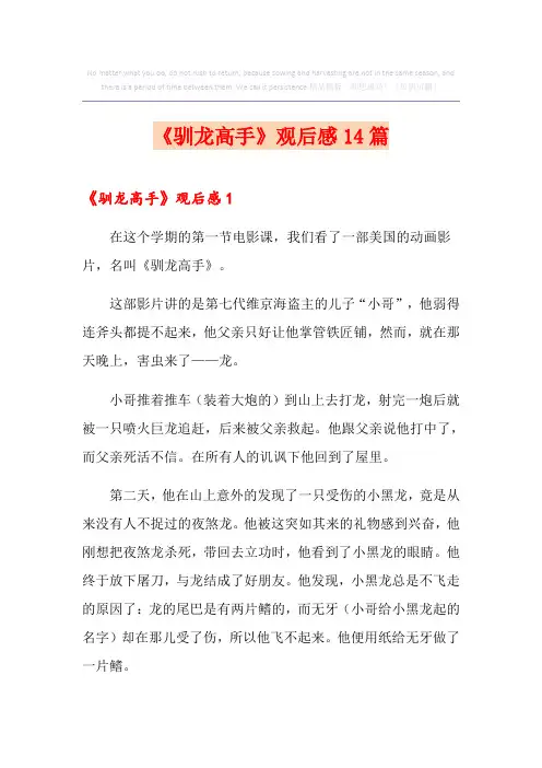 《驯龙高手》观后感14篇