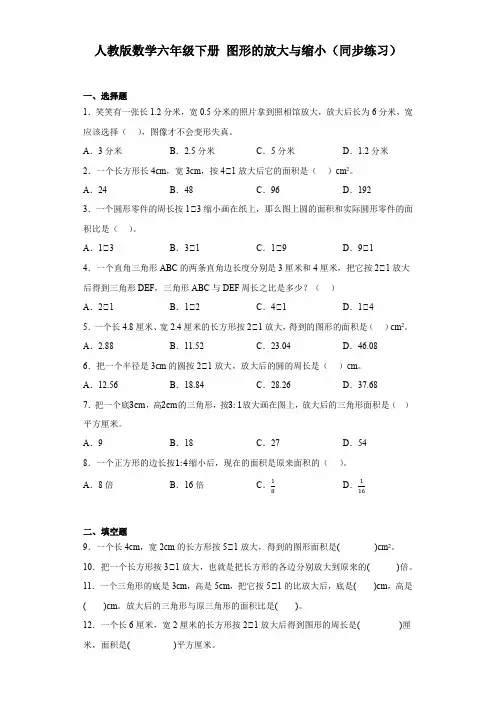 人教版数学六年级下册 图形的放大与缩小(同步练习)