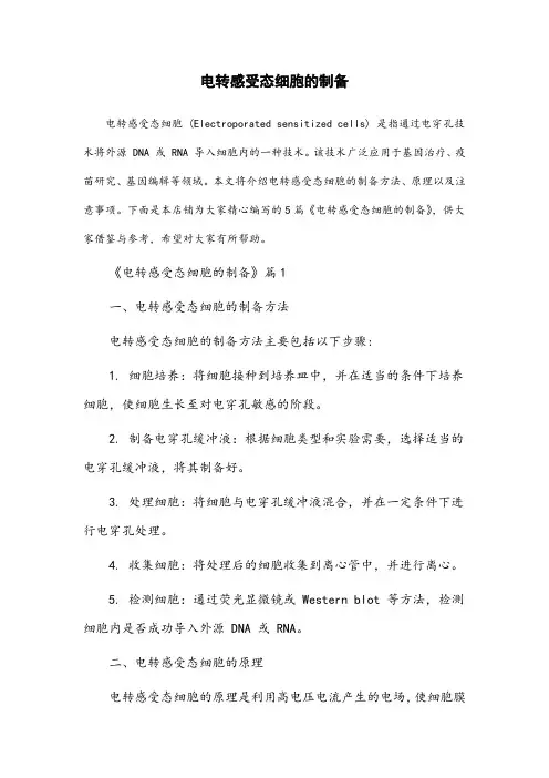 电转感受态细胞的制备