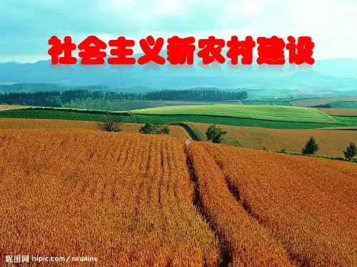 社会主义新农村建设