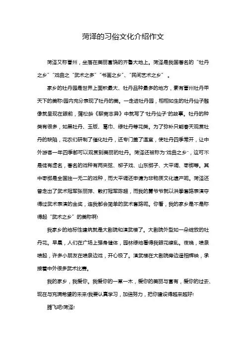 菏泽的习俗文化介绍作文