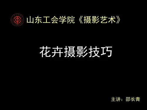 花卉摄影