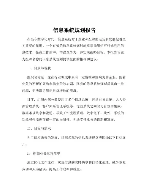 信息系统规划报告
