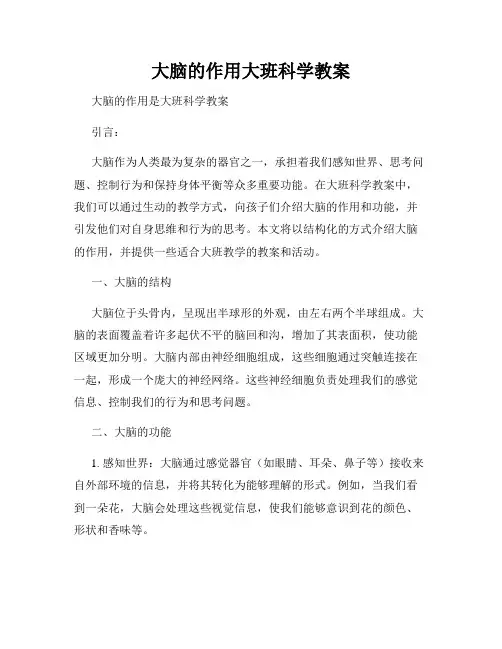 大脑的作用大班科学教案