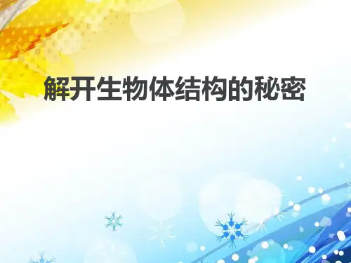 《解开生物体结构的秘密》PPT