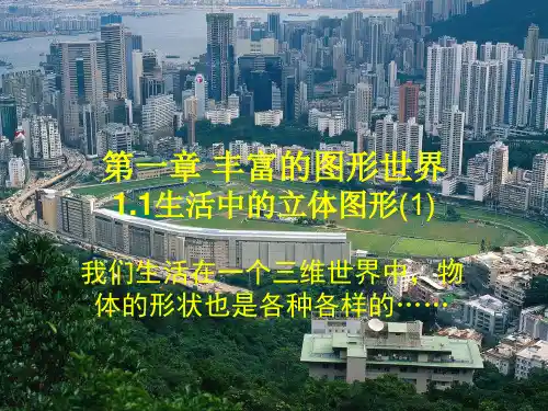 1.1生活中的立体图形(1)