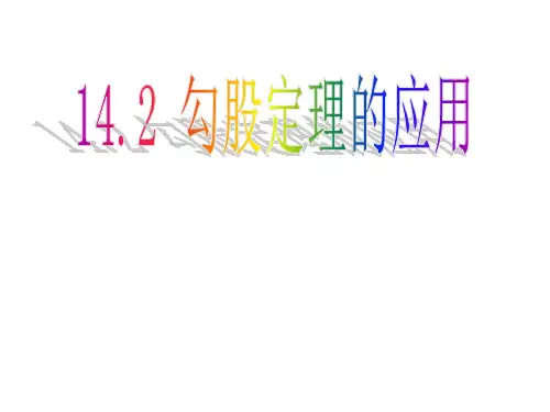 勾股定理的应用(1)