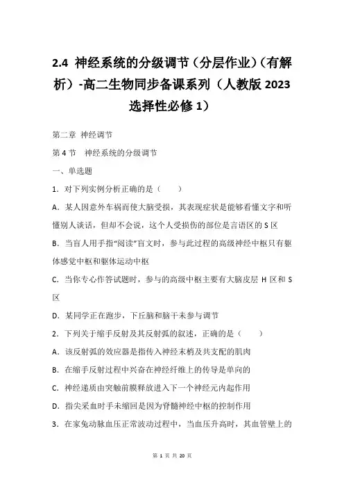 2.4 神经系统的分级调节(分层作业)(有解析)-高二生物同步备课系列(人教版2023选择性必修1)