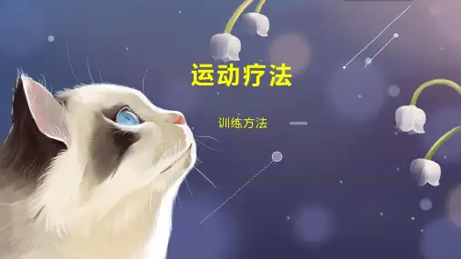 运动疗法    