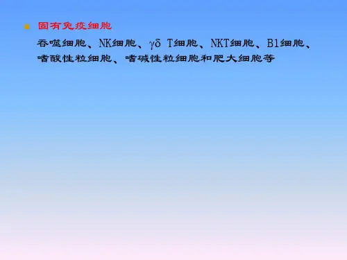 参与固有免疫应答的细胞