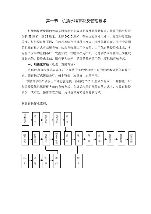 机插水稻育秧及管理技术
