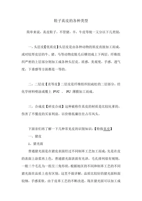 鞋子真皮的各种类型