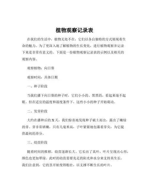 植物观察记录表