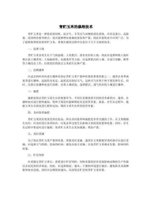 青贮玉米的栽培技术