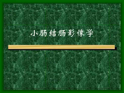 CT学习——小肠结肠影像学