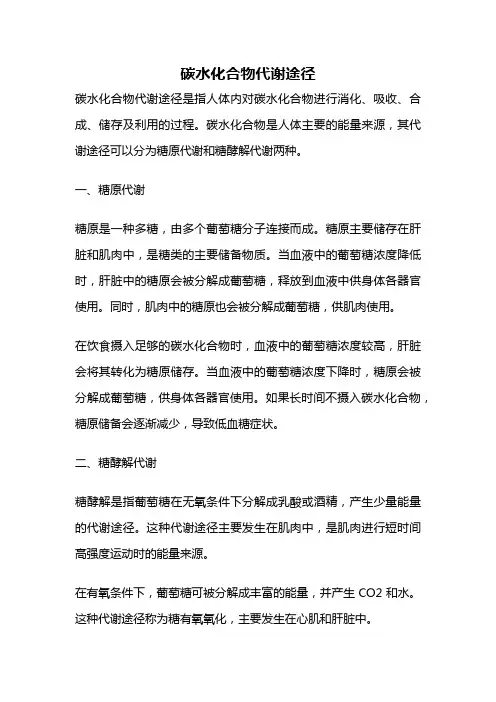 碳水化合物代谢途径