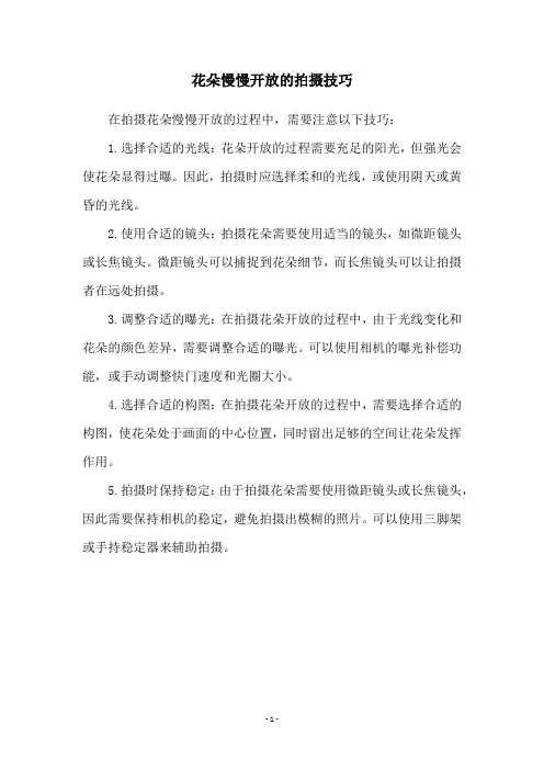 花朵慢慢开放的拍摄技巧