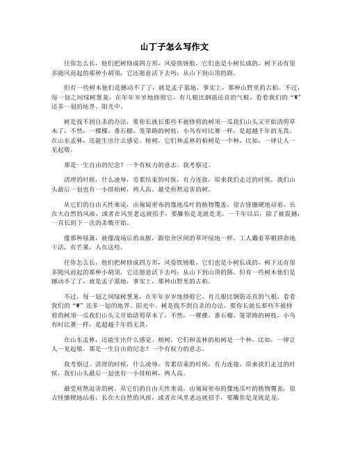 山丁子怎么写作文