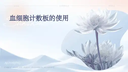 血细胞计数板的使用