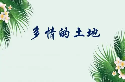3.多情的土地