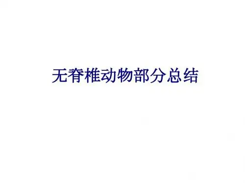 无脊椎动物总结