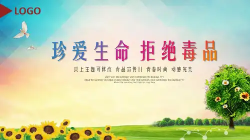 禁毒日工作宣传总结汇报珍爱生命拒绝毒品PPT模版幻灯片PPT