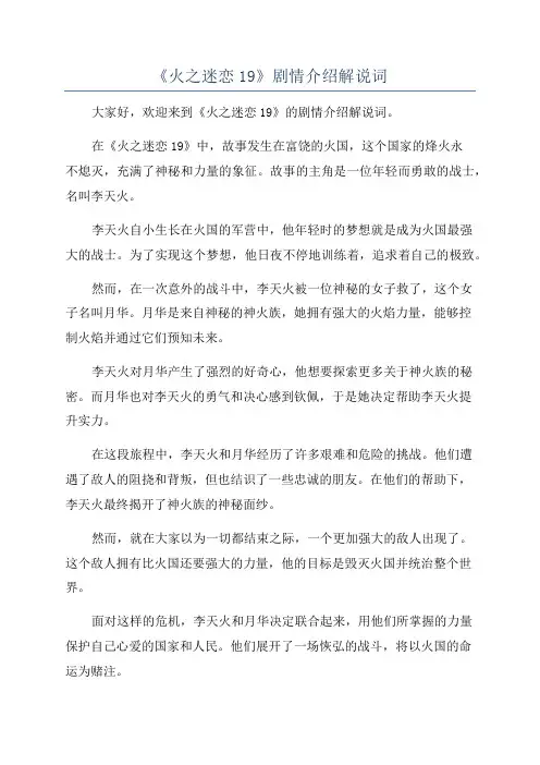 《火之迷恋19》剧情介绍解说词