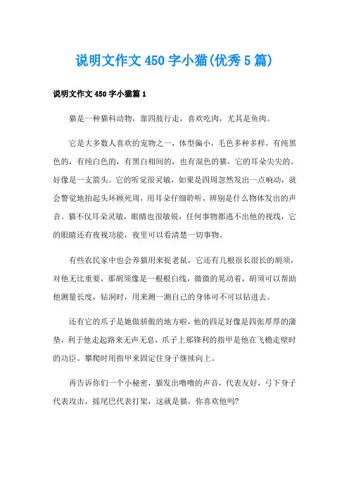 说明文作文450字小猫(优秀5篇)