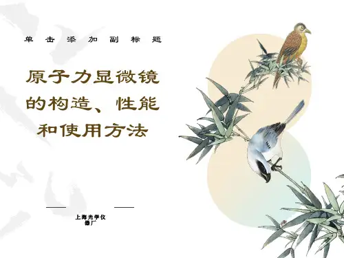 原子力显微镜的构造、性能和使用方法