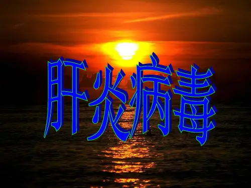 乙型肝炎病毒介绍PPT