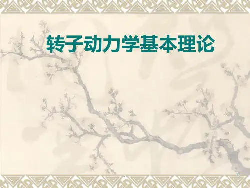 转子动力学基本理论PPT课件