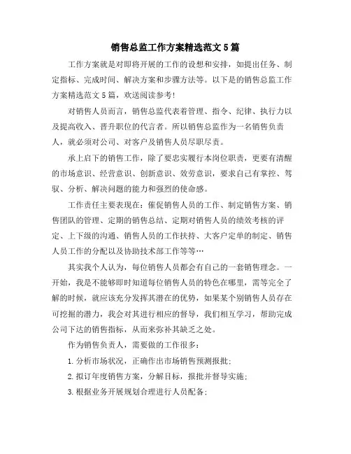 销售总监工作计划范文5篇
