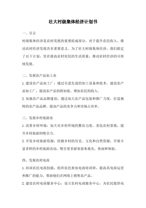 壮大村级集体经济计划书