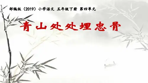 《青山处处埋忠骨》ppt课件