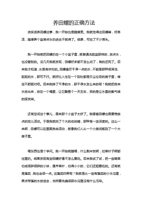 养田螺的正确方法