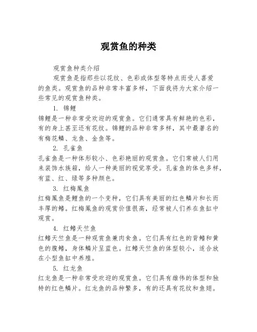 观赏鱼的种类