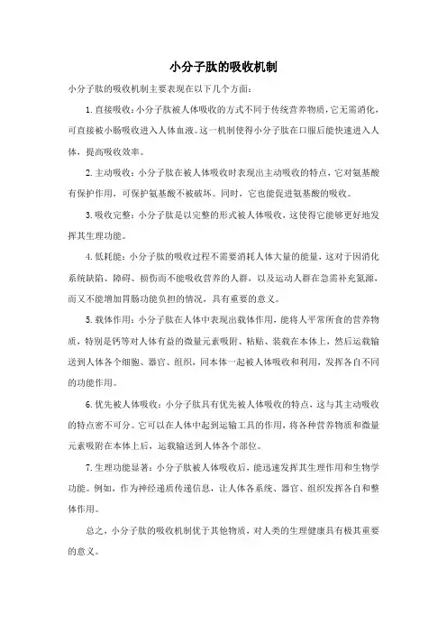 小分子肽的吸收机制