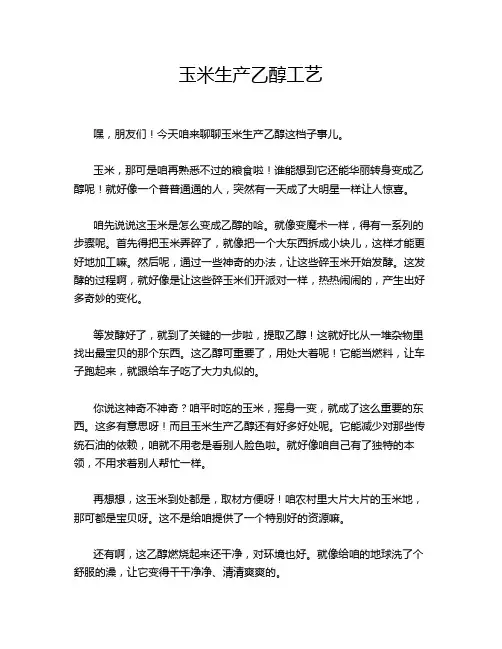 玉米生产乙醇工艺