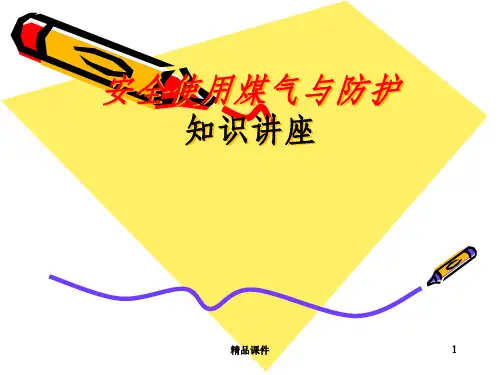 煤气使用安全知识培训ppt课件