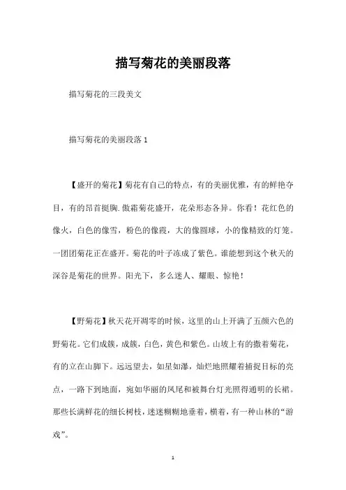 描写菊花的美丽段落