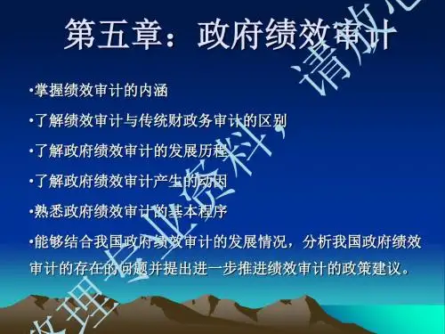 第五章政府绩效审计