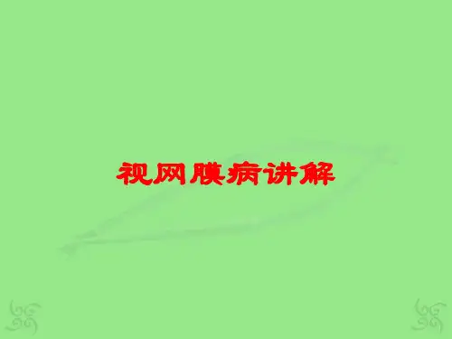 视网膜病讲解培训课件