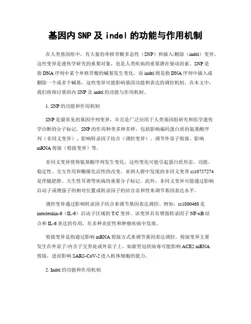 基因内SNP及indel的功能与作用机制