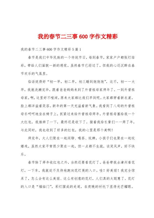 我的春节二三事600字作文精彩